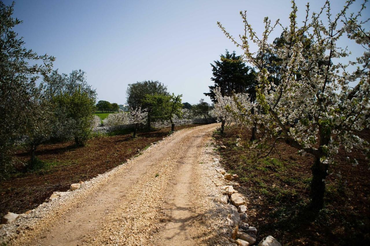 Masseria Guadiano Vecchio Santa Lucia  Bagian luar foto